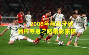  2008年西班牙欧洲杯夺冠之路精彩集锦