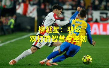  柳延星：羽坛双打的智慧与坚韧