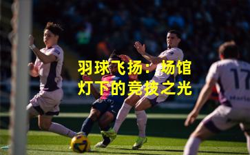 羽球飞扬：场馆灯下的竞技之光