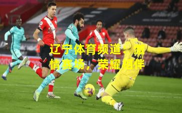 辽宁体育频道：激情赛场，荣耀相伴