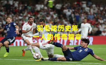 羽毛球历史第一人的传奇篇章