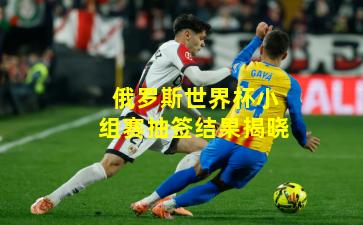 俄罗斯世界杯小组赛抽签结果揭晓